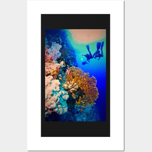 OCEAN VISTA Posters and Art